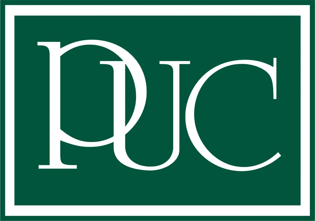 Paul Usoro